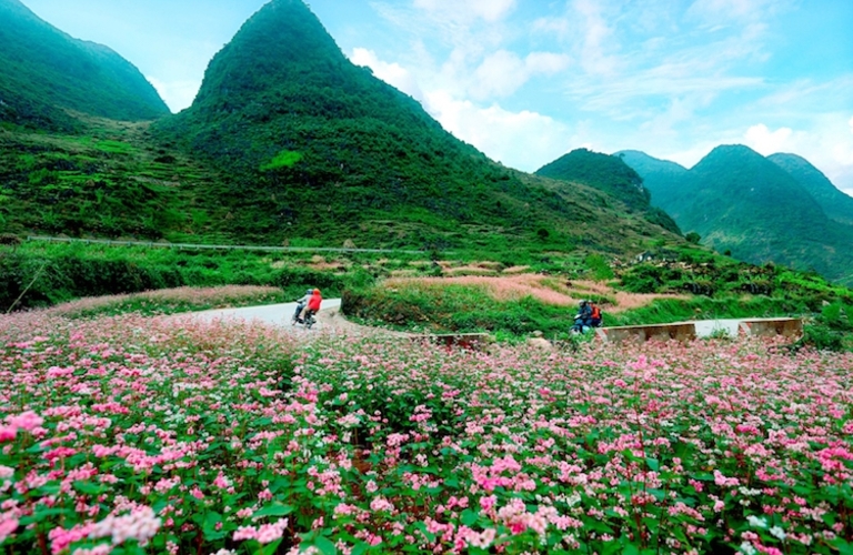 Tour Nha Trang - Ninh Thuận - Check In Vườn Nho - 4N3Đ