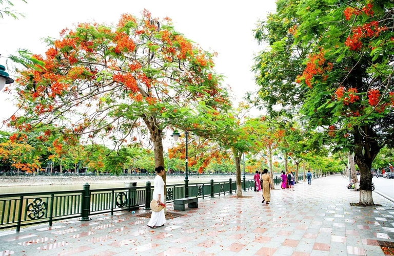 Tour Mù Cang Chải - Đèo Khau Phạ - Tú Lệ - Trạm Tấu - 3N2D
