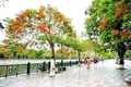 Tour Mù Cang Chải - Đèo Khau Phạ - Tú Lệ - Trạm Tấu - 3N2D