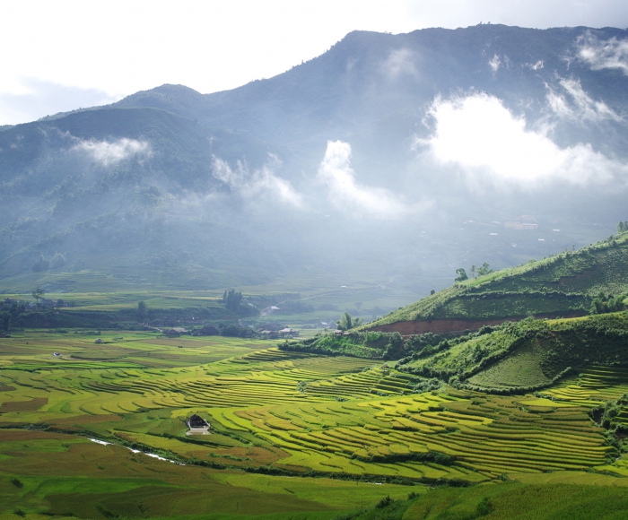 Tour Mù Cang Chải - Đèo Khau Phạ - Tú Lệ - Trạm Tấu - 3N2D