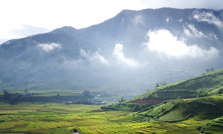 Tour Mù Cang Chải - Đèo Khau Phạ - Tú Lệ - Trạm Tấu - 3N2D
