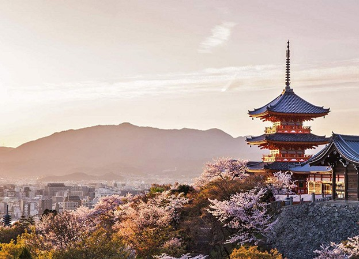 Tour DU LỊCH NHẬT BẢN HOA ANH ĐÀO SỚM Tokyo – Phú Sĩ – Nagoya – Kyoto – Osaka