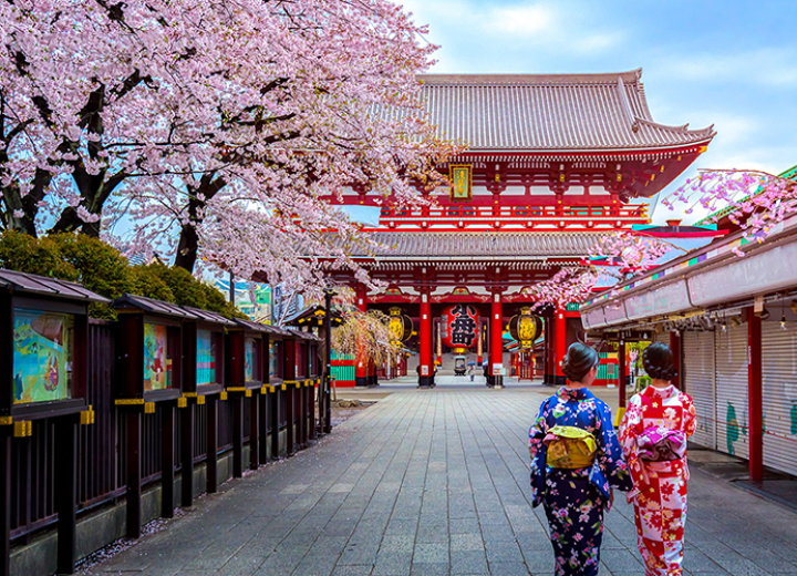 Tour SAKURA NHẬT BẢN 2024 Osaka – Kobe – Kyoto – Phú Sĩ – Tokyo