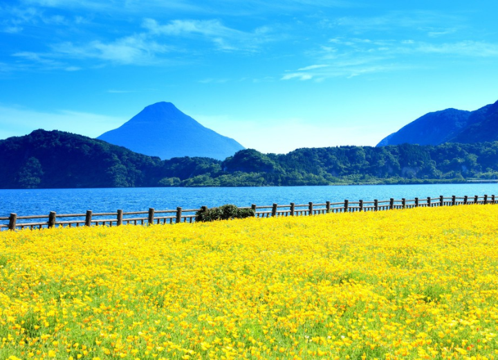Tour QUYẾN RŨ SẮC HOA KAGOSHIMA Kagoshima - Sakurajima - Senganen 6N5Đ