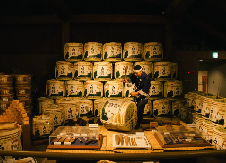 Tour NHẬT BẢN MÙA ANH ĐÀO Osaka - Tyoto - Nagoya - Phú Sĩ -Tokyo 6N5Đ