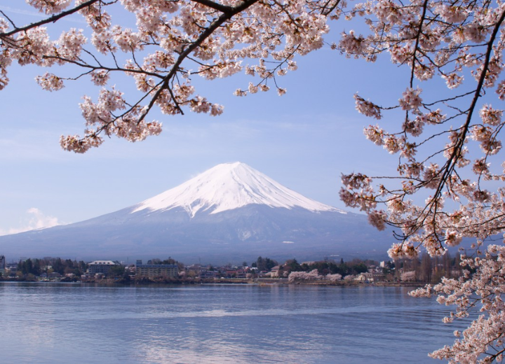 Tour NHẬT BẢN MÙA ANH ĐÀO Osaka - Tyoto - Nagoya - Phú Sĩ -Tokyo 6N5Đ