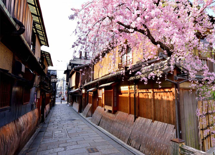 Tour NHẬT BẢN MÙA ANH ĐÀO Osaka - Tyoto - Nagoya - Phú Sĩ -Tokyo 6N5Đ