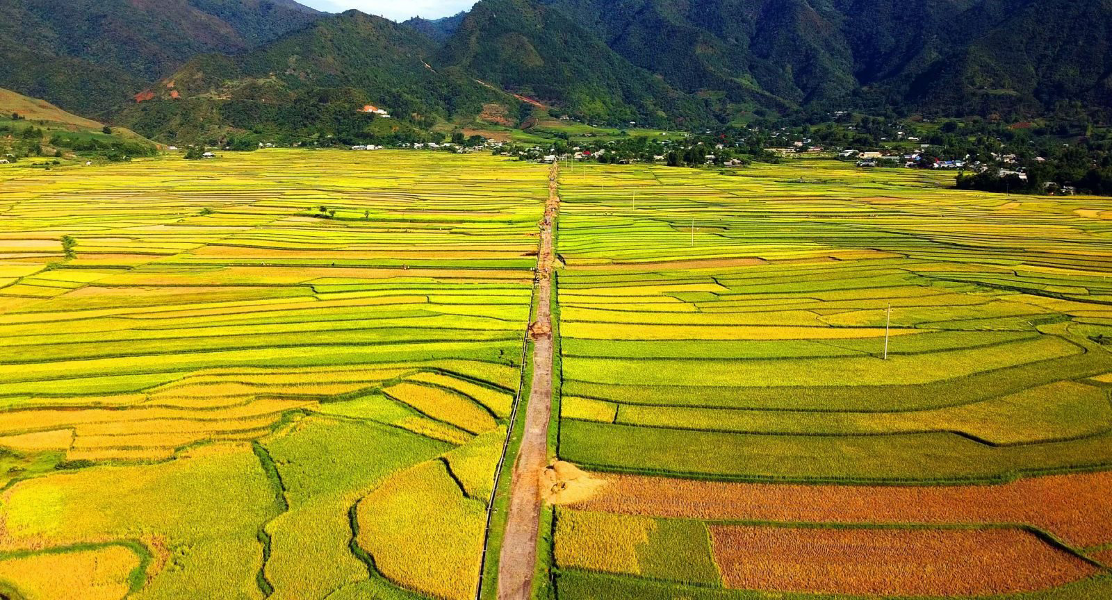 Tour Mù Cang Chải - Đèo Khau Phạ - Tú Lệ - Trạm Tấu - 3N2D