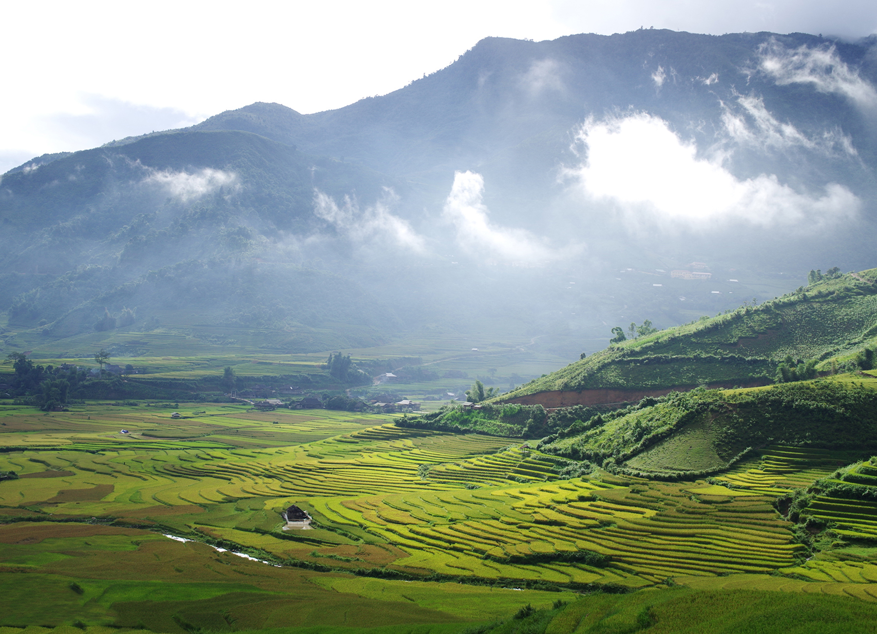 Tour Mù Cang Chải - Đèo Khau Phạ - Tú Lệ - Trạm Tấu - 3N2D