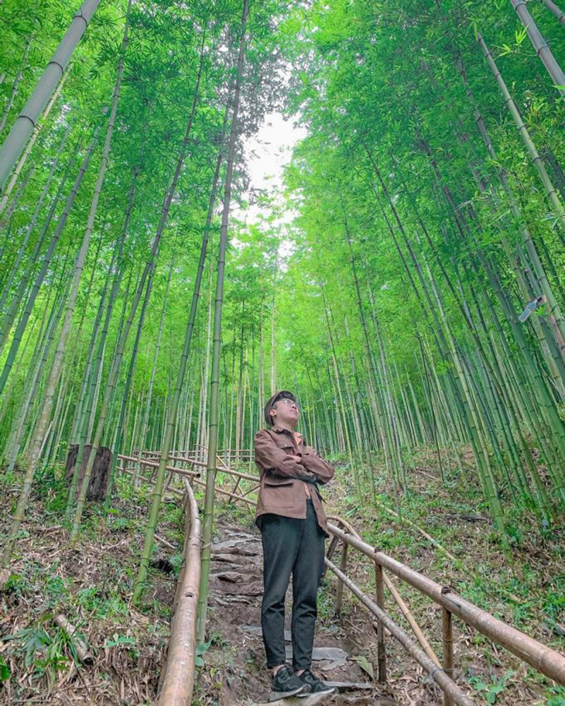 Tour Mù Cang Chải - Đèo Khau Phạ - Tú Lệ - Trạm Tấu - 3N2D