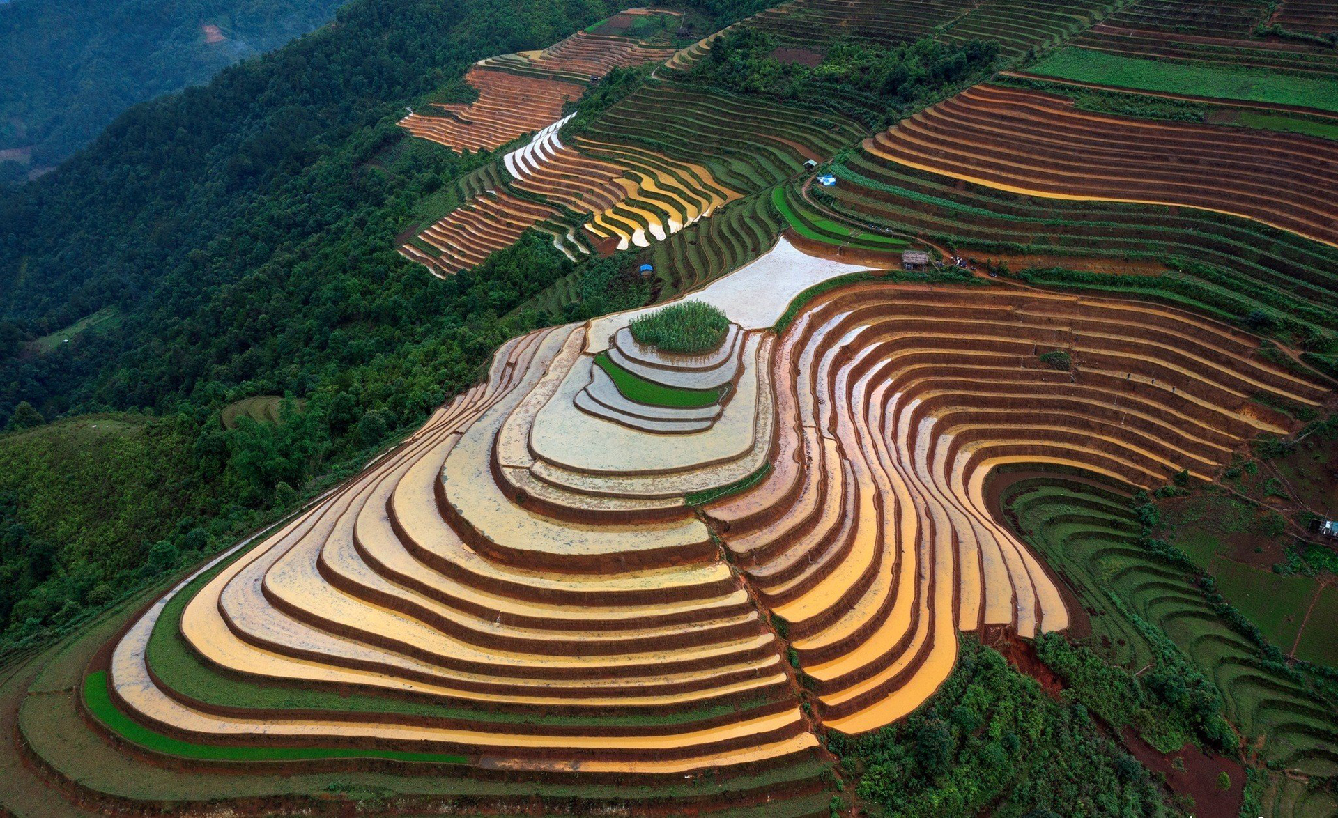 Tour Mù Cang Chải - Đèo Khau Phạ - Tú Lệ - Trạm Tấu - 3N2D