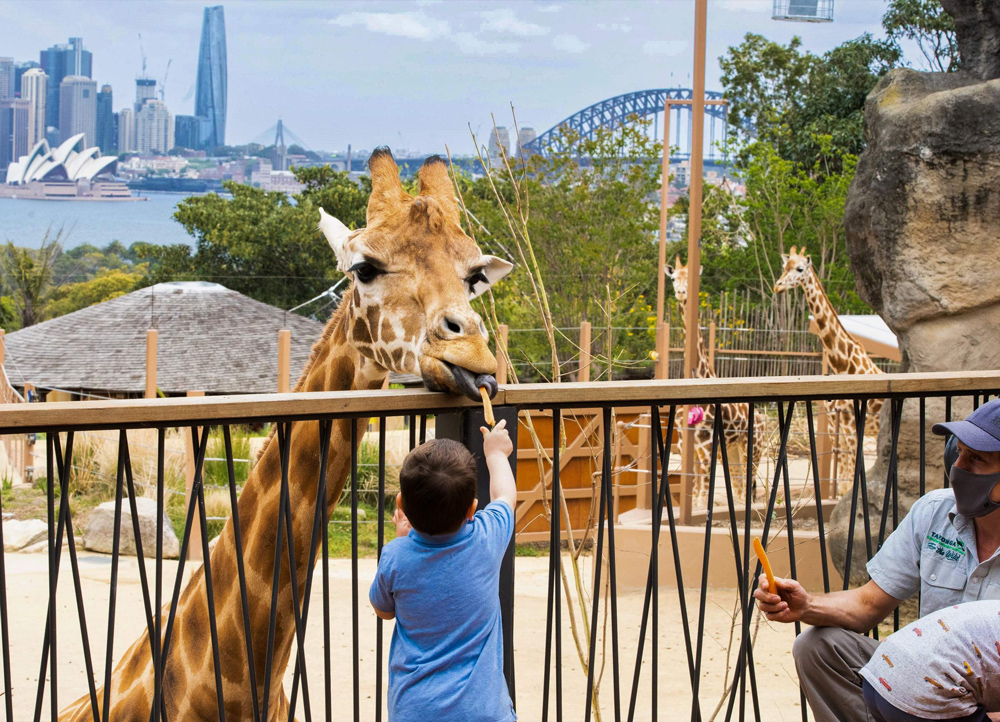 Tour Úc 8N7Đ: Sydney - CanBerra - Melbourne - Ballarat – Dandenong – Đảo Phillip